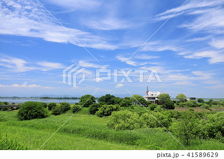夏の渡良瀬遊水地 夏の渡良瀬遊水地 41589629