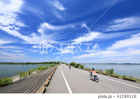 渡良瀬遊水地の夏 41590118