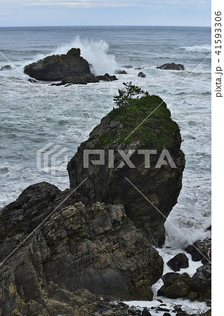種差海岸 鮫角 種差海岸 鮫角 41593306