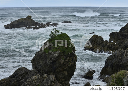 種差海岸 鮫角、 種差海岸 鮫角、 41593307