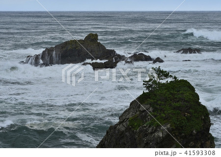 種差海岸 鮫角 種差海岸 鮫角 41593308