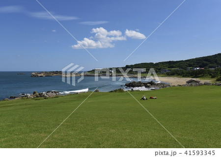 種差海岸　天然芝生地 41593345