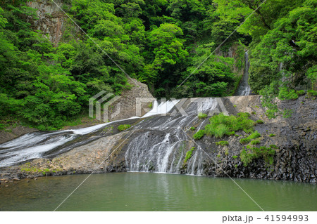 大分県九重町　初夏の竜門の滝 41594993