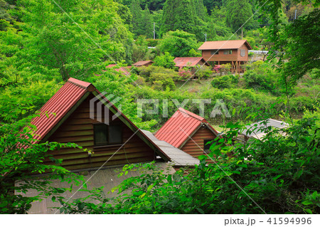 大分県九重町　初夏の竜門の滝キャンプ場 41594996