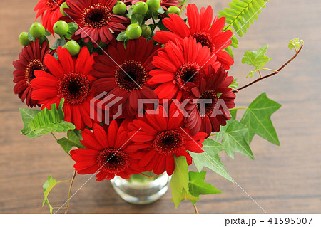 ガーベラのアレンジメント 41595007