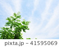 梅雨の晴れ間 41595069