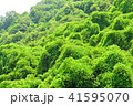梅雨の晴れ間 41595070