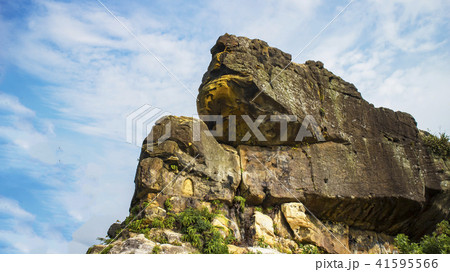 景色 風景 自然 41595566