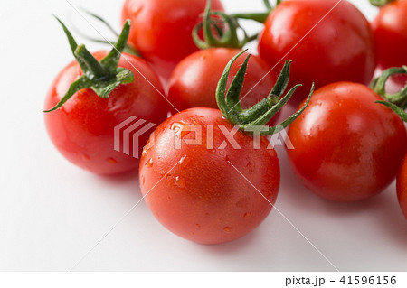 ミニトマト ミニトマト 41596156