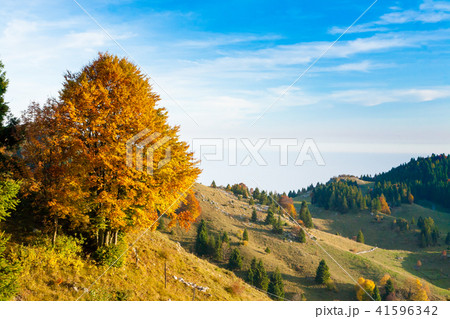 Autumn mountain landscape 41596342