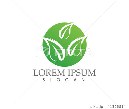 Logos of green leaf ecology nature  vector icon 41596814