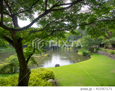 【伊豆】池のある日本庭園風景【修善寺虹の郷】 41597171