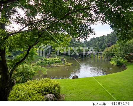 【伊豆】池のある日本庭園風景【修善寺虹の郷】 41597172