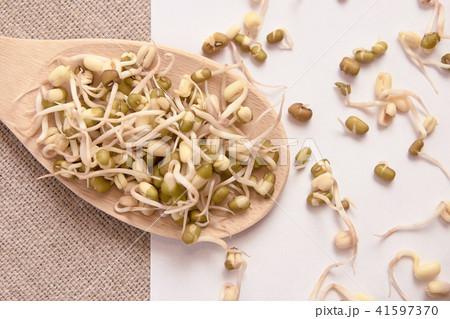 Bean sprouts. White. Wooden spoon. Spread beans Bean sprouts. White. Wooden spoon. Spread beans 41597370