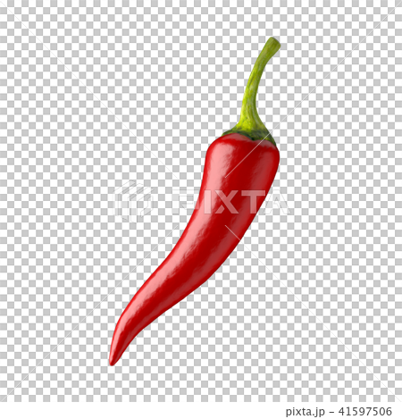 Chilli pepper Chilli pepper 41597506