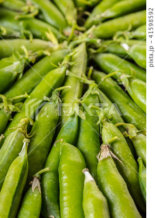 texture of green peas pods texture of green peas pods 41598592