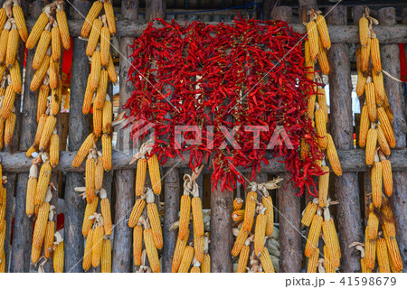 Hanging red chilli on wooden wall Hanging red chilli on wooden wall 41598679
