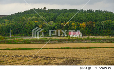 Rural scenery in Biei, Japan 41598939