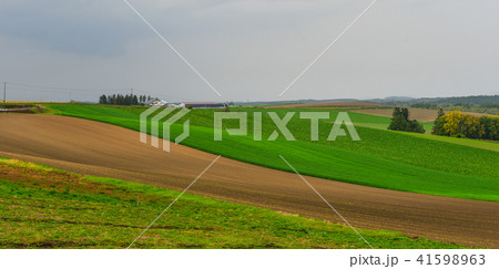 Rural scenery in Biei, Japan 41598963