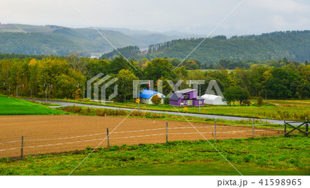 Rural scenery in Biei, Japan 41598965