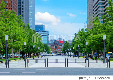 若葉と新緑の銀杏並木と青空が広がる東京駅中央口 41599226