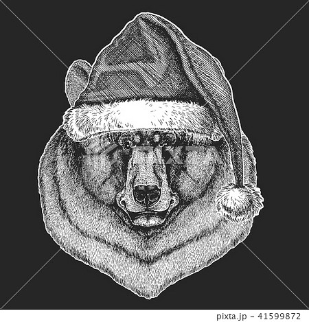 Christmas, new year celebration. Santa Claus winter hat. Xmas headdress. Christmas, new year celebration. Santa Claus winter hat. Xmas headdress. 41599872