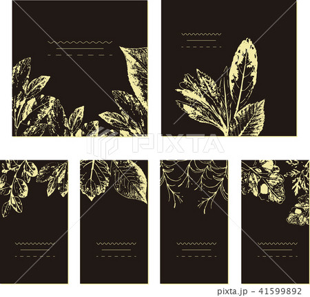 Set of card with leaves. Wedding ornament concept. Floral poster, invite. Vector decorative greeting Set of card with leaves. Wedding ornament concept. Floral poster, invite. Vector decorative greeting 41599892