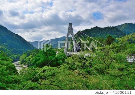 新緑の奥多摩大橋 多摩川 東京都奥多摩町梅澤 ｊｒ青梅線川井駅そば の写真素材