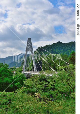 新緑の奥多摩大橋 多摩川 東京都奥多摩町梅澤 ｊｒ青梅線川井駅そば の写真素材