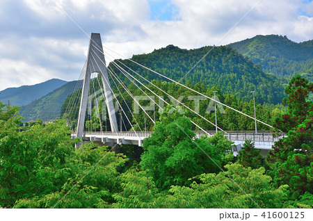 新緑の奥多摩大橋 多摩川 東京都奥多摩町梅澤 ｊｒ青梅線川井駅そば の写真素材