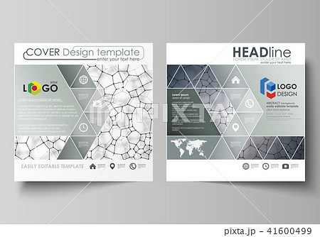 Business templates for square design brochure, flyer. Leaflet cover, vector layout. Chemistry 41600499