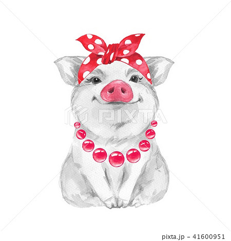 Funny pig wearing bandana Funny pig wearing bandana 41600951