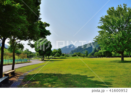 緑豊かな公園 緑豊かな公園 41600952