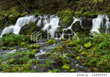 羊蹄山の湧水 41600993