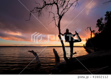 Camano Island State Park 41602112