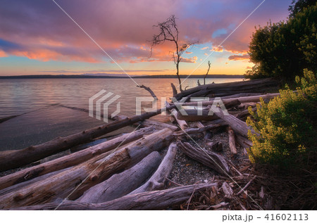 Camano Island State Park 41602113