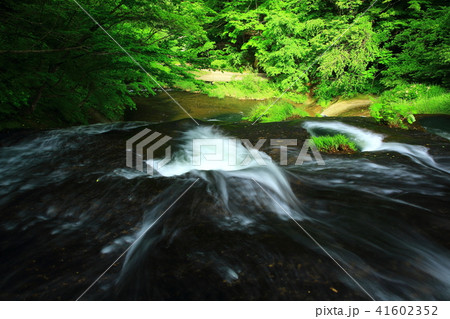 夏の釜淵の滝 41602352