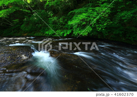 夏の釜淵の滝 41602370
