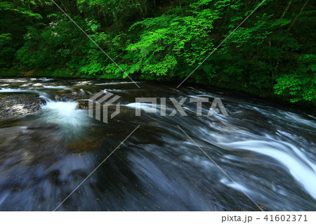 夏の釜淵の滝 41602371