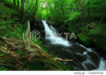 遠野　夏の一の滝 41604408
