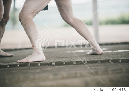 Sumo wrestling Sumo wrestling 41604458