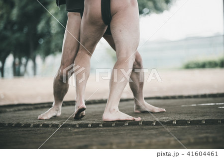Sumo wrestling 41604461