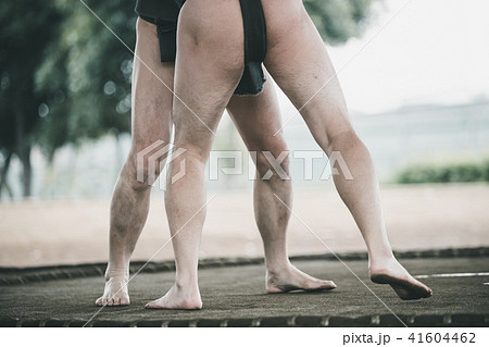 Sumo wrestling Sumo wrestling 41604462
