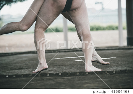 Sumo wrestling Sumo wrestling 41604463