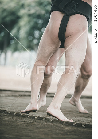 Sumo wrestling 41604465