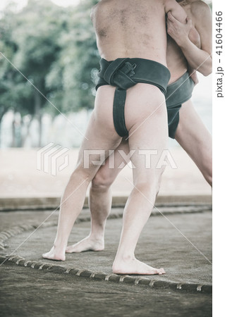 Sumo wrestling Sumo wrestling 41604466