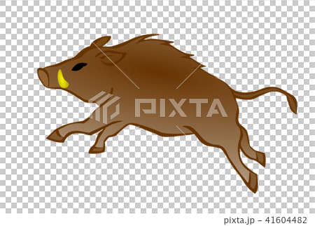 亥年年賀素材　駆けるイノシシ 41604482