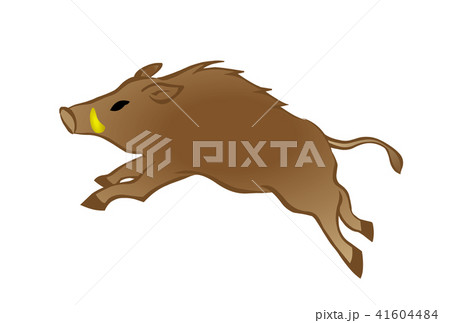 亥年年賀素材　駆けるイノシシ 41604484