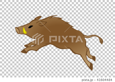 亥年年賀素材　駆けるイノシシ 41604484