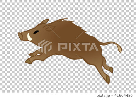 Year-year New Year's Day material boar Year-year New Year's Day material boar 41604486